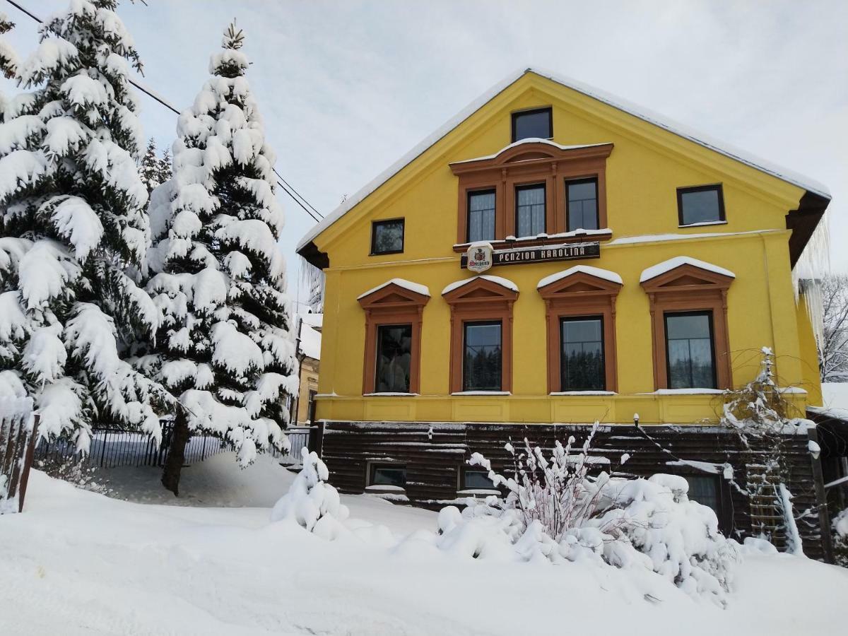 Penzion Karolína Lucany nad Nisou Bagian luar foto