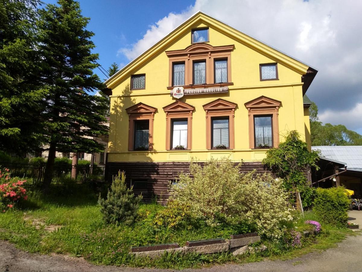 Penzion Karolína Lucany nad Nisou Bagian luar foto
